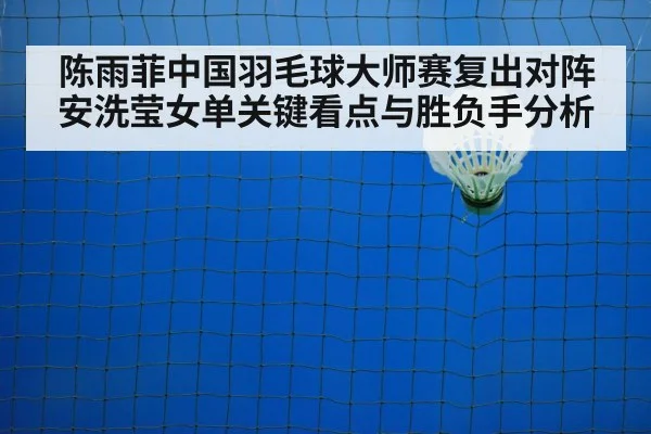 badminton shuttlecock net closeup